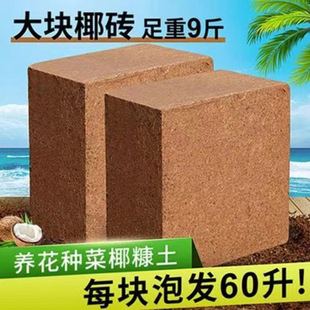Coconut Brick Nutrient Soil Vegetable Planting Universal Desalting Coconut Brick Large Block Yeh Brick Soil Tortoise Hibernation Flower Cultivation Soil Planting Soil