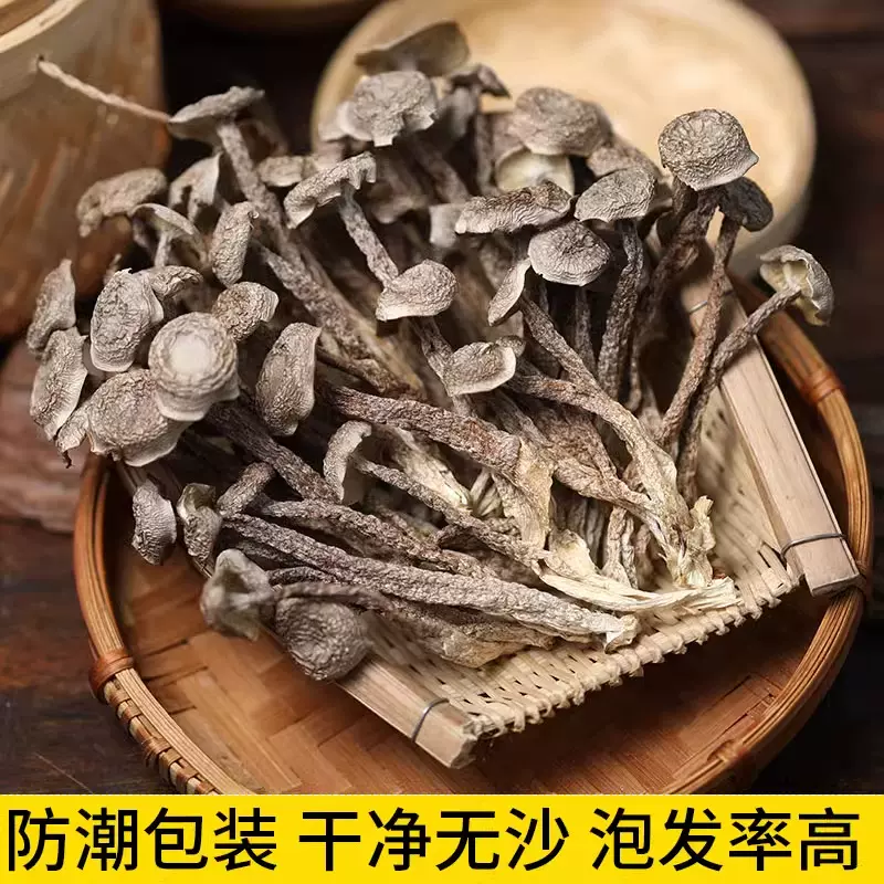 鹿茸菇干货农家特产鹿茸菌鹿耳菇批发菌菇香菇煲汤炒菜净重无干燥
