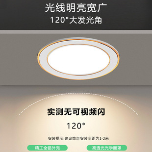 Cross-Border Special Supply Downlight Zhongshan Lighting Manufacturer Wholesale Bull's Eye Lamp Full Spectrum 75-Hole Anti-Glare Embedded Downlight