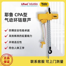 ��ԭ�b�M�� Ү��YALE CPA��ӭh机��J ������̖���x ���С܇