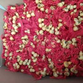 厂家供应葫芦手捻烙画葫芦，12生肖葫芦。吉祥图等车挂，包挂