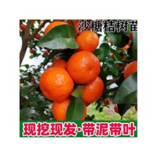 �V�����ڼ޽ӟo��ɰ�ǽۘ������Ե����ϱ���������o�˹������ͺ�