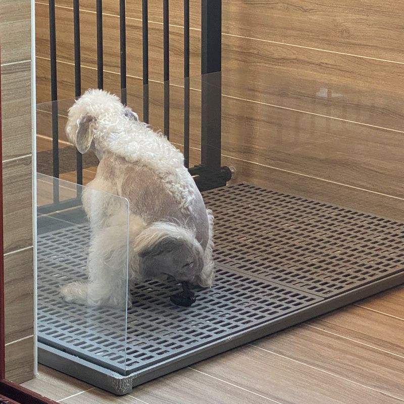 方便易清洁平板狗厕所大号大型犬小型犬通用中型防滑狗尿宠物冲水|undefined
