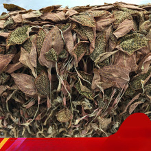 ɏ   Ұ Ʒ B 10˵50˶Ҏx