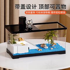 寄居蟹防逃逸饲养缸透明带盖客厅桌面中小型生态缸创意造景小别墅