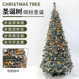 圣诞树;圣诞装饰品