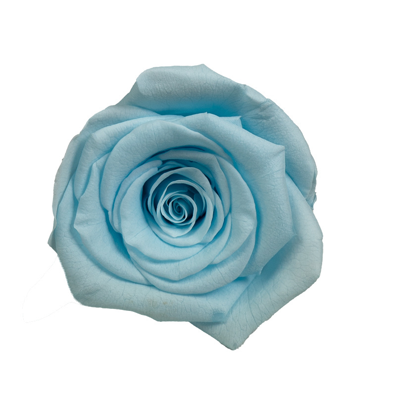 4-5cm 8 Flores, grado B DIY flores eternas, rosas eternas, Yunnan Kunming al por mayor, flores preservadas