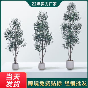�羳�ϙ�����Gֲ�߶��p���҃ȿ͏d�b�Ʒ��ؔ[������ֲ������