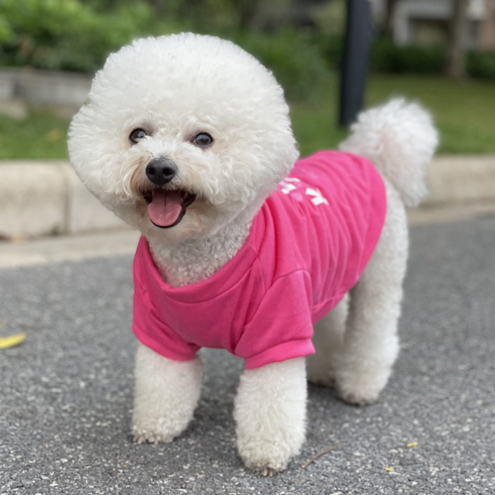 Pet Supplies Pet Clothes Dog Clothing Spring-summer New Type Pet Dog Clothes Vest T-shirt display picture 2