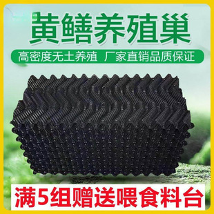 ���q�Bֳ���Bֳ�S�X��C�S�X�˹��X�Bֳ��Ѩ�O���X�~�峲ˮ�γ�