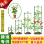 包塑定制植物跨境爬藤架