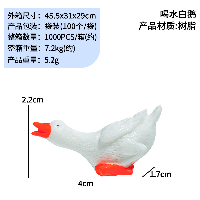 Beber agua ganso blanco