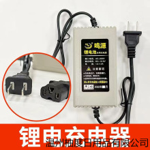 電動噴霧器配件 鋰電池通用充電器 農用打葯桶蓄電池鉛酸池充電器