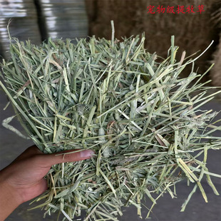 �����Ħ������ݸɲ�����������؈���m�i����ĥ����ʳ