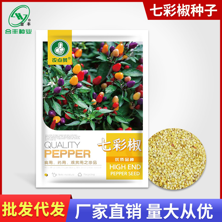 七彩椒种子五彩椒灯笼椒子弹头辣椒种籽小米椒泡椒种孑厂家批发