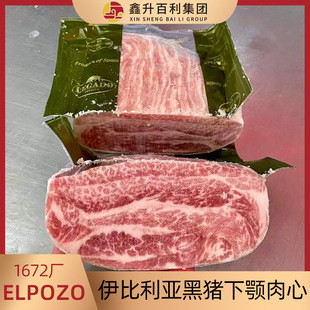 ������1672�SELPOZO�����������i��������ɰ��� �߶˲����