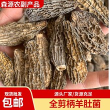 林下半剪柄羊肚菌干货云南山珍菌菇食用农产品林下种植高原特色