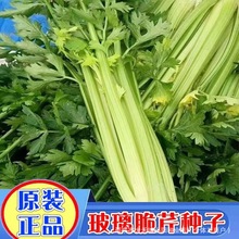 ۷NwS㲣۲˷NļNͥԺr߲˷N