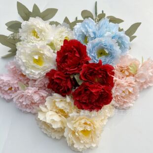 ����5�^ĵ�� 5�^����ĵ����c·�����Ų廨�bƵ겼�� ���Q�ٻ�
