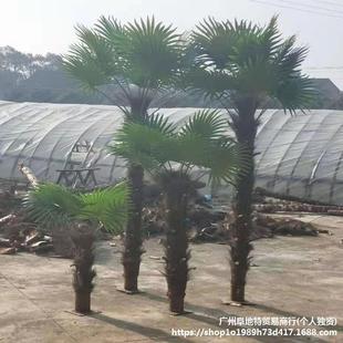 �����ؙ�����ͼ٘�Ꭷ����Gֲ�쾰�҃����b������Ƥ�ؙ���