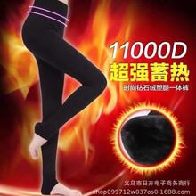 羊羔绒肥又大热能裤加绒加厚高弹性打底秋裤现货厂家直销