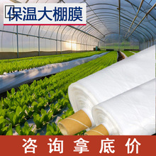 大棚塑料膜塑料布加厚透明农用薄膜蔬菜保温白色大棚膜保温防水膜