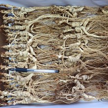 参品参长白山林下参打粉料吃货林下参山参适合自用款（103315）