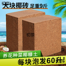 �����δ�u�o�}�o���ش�̖Ҭ���B���N��Ҭ��ͨ�����B������Ҭ�u��