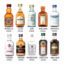 透明50ml小酒瓶diy混款便携迷你玻璃瓶子带盖1两洋酒饮料漱口水瓶