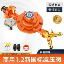 煤气减压阀自动关闭商用国标1.2液化气减压阀低压阀家用煤气罐