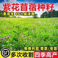 ϻޣݷNѶݷNļBֳιţuZ~ݷN