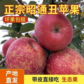 块茎类;其他蔬菜;苹果