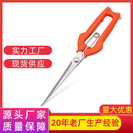 工厂现货不锈钢摘果剪花卉园艺工具剪刀摘果稀果疏果修枝剪枝省力