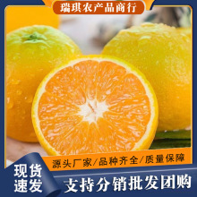 正宗湖北夏橙5斤整箱柑橘当季新鲜水果3斤批发10包邮秭归伦晚脐橙