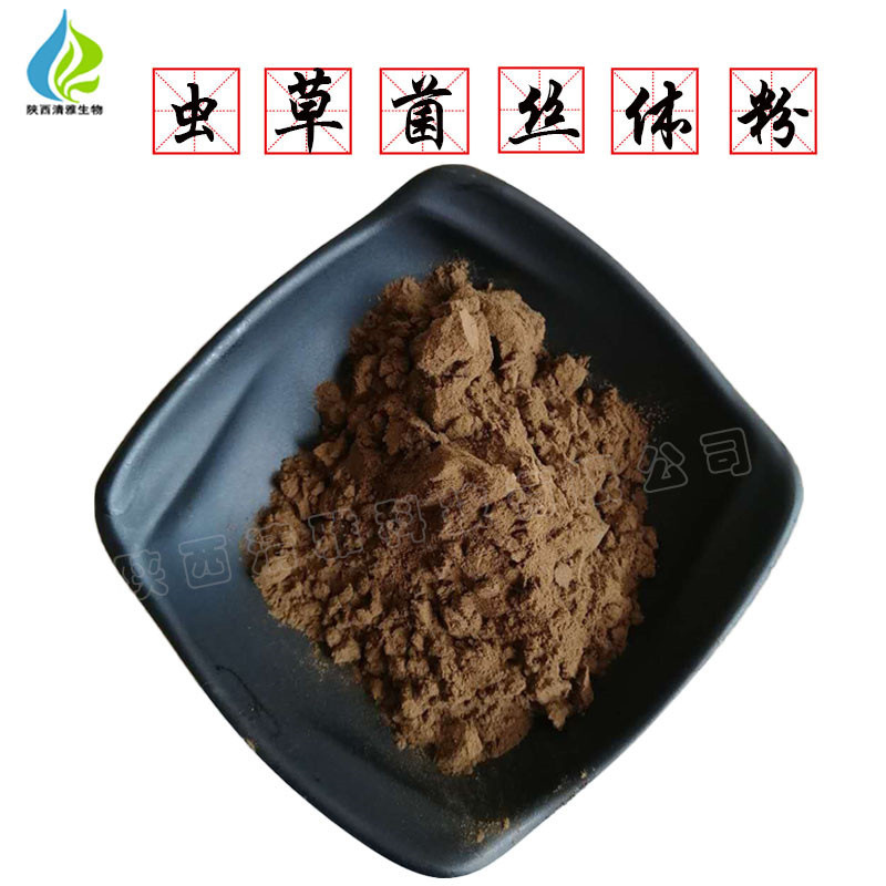 发酵虫草菌丝体粉 CS-4 食品级 蛹虫草提取物 现货 虫草菌丝体粉