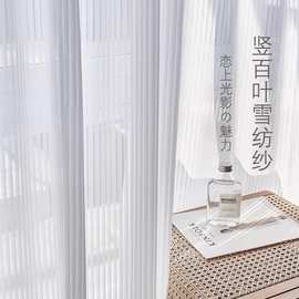 百叶纱窗帘纱帘透光不透人梦幻白纱帘竖条纹客厅窗帘成品隔断纱帘