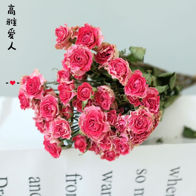 雲南昆明直発多頭バラの花の単頭バラの花の花束バラの泡飾りメーカーの卸売り|undefined