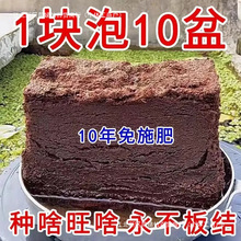 Ҭ�u�o���I�B�B�����sͨ����Ҭ�u���N���N���ЙCÓ�}Ҭ������Ҭ��