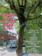 ������ٴ������@�����ܛ�������b��ٹ�늾���|�o�׹�