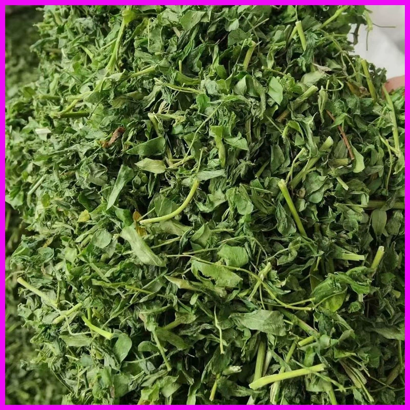 Ярмарка Huangjianghu Lancha Акация Листья Акации оптом оптом