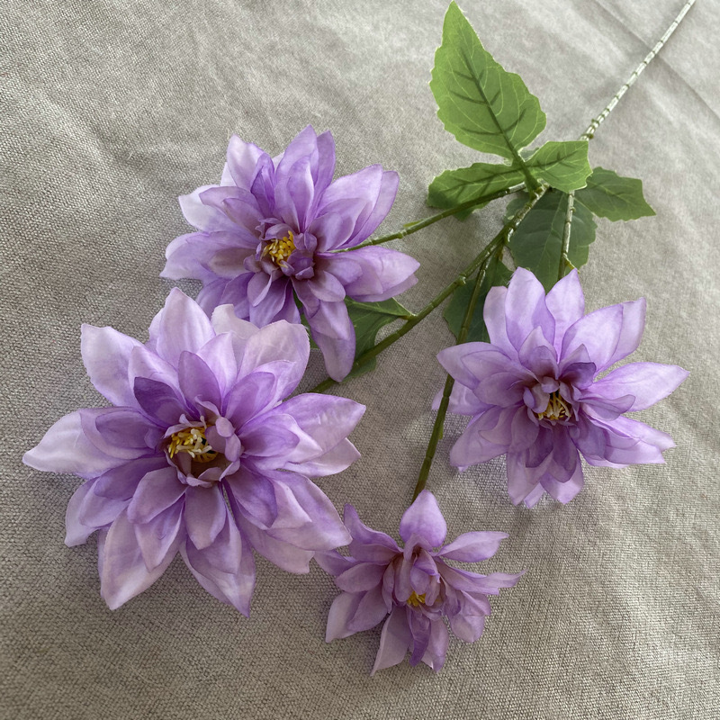 4 다알리아 - 연한 보라색