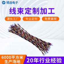 �S�Ҷ����t���S���Ӿ��g������B�Ӿ������T�i�������Ƽӹ�