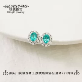 戒指;项链;耳钉