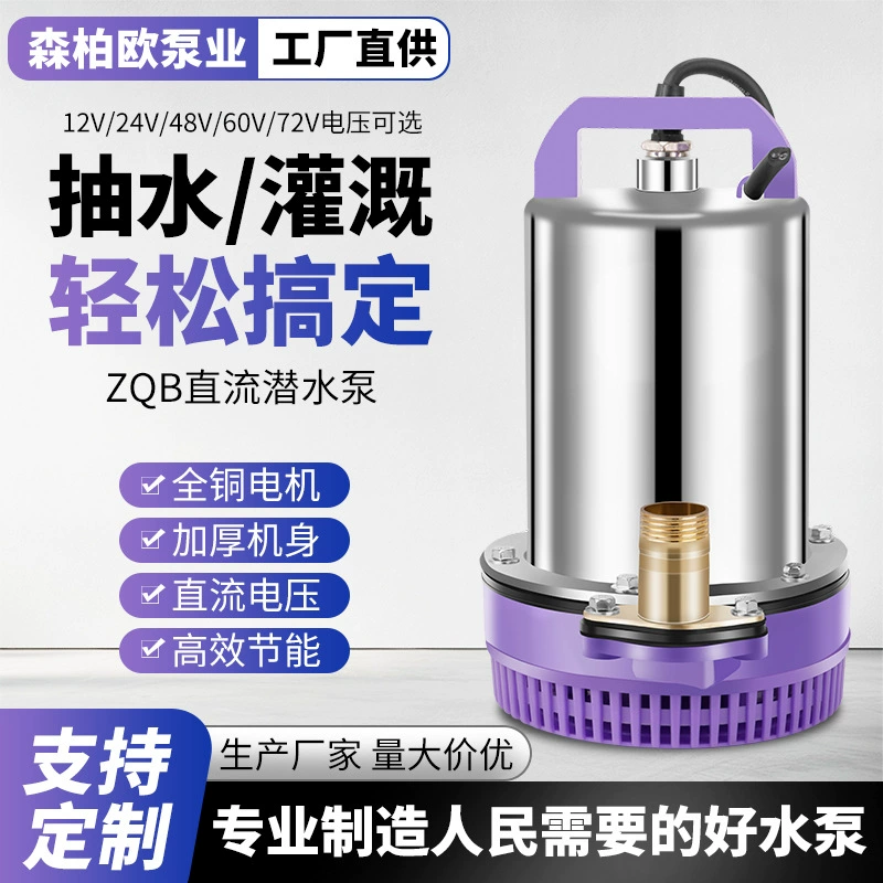 Трансграничная нержавеющая сталь небольшой погружной насос постоянного тока 12V24v48v60V72V аккумуляторная машина с высокой натяжкой