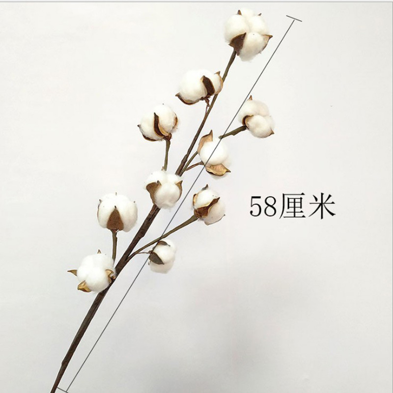 Décoration de mariage - Lot de 10 fleurs artificielles en coton, naturelles et séchées, avec longues branches - Achat transfrontalier_voghion.com
