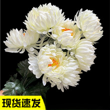 �¿���������Ĺ��z�ռ��������@���[�žջ���