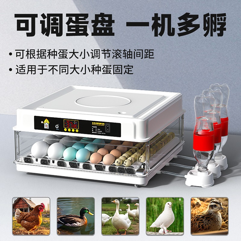 全自动小鸡孵化器孵化箱孵化机小型水床家用智能机器孵蛋器芦丁鸡