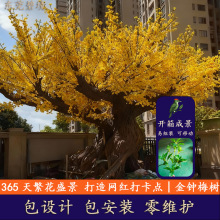 �޴��ͷ�����R÷��ͥԺ�쾰���ͼ٘����� ����Ҭ�Ә� �Ƶ�@��