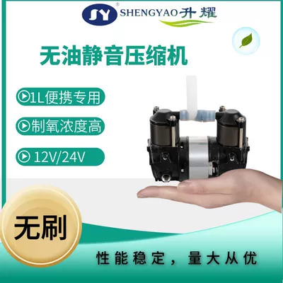 Source Manufacturer Oil-Free Silent Air Pump Compressor Dc Portable Oxygen Generator Air Compressor 12V/24V