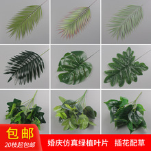 cGֲ~ɢβmᘿ~عmɭϵƺYb